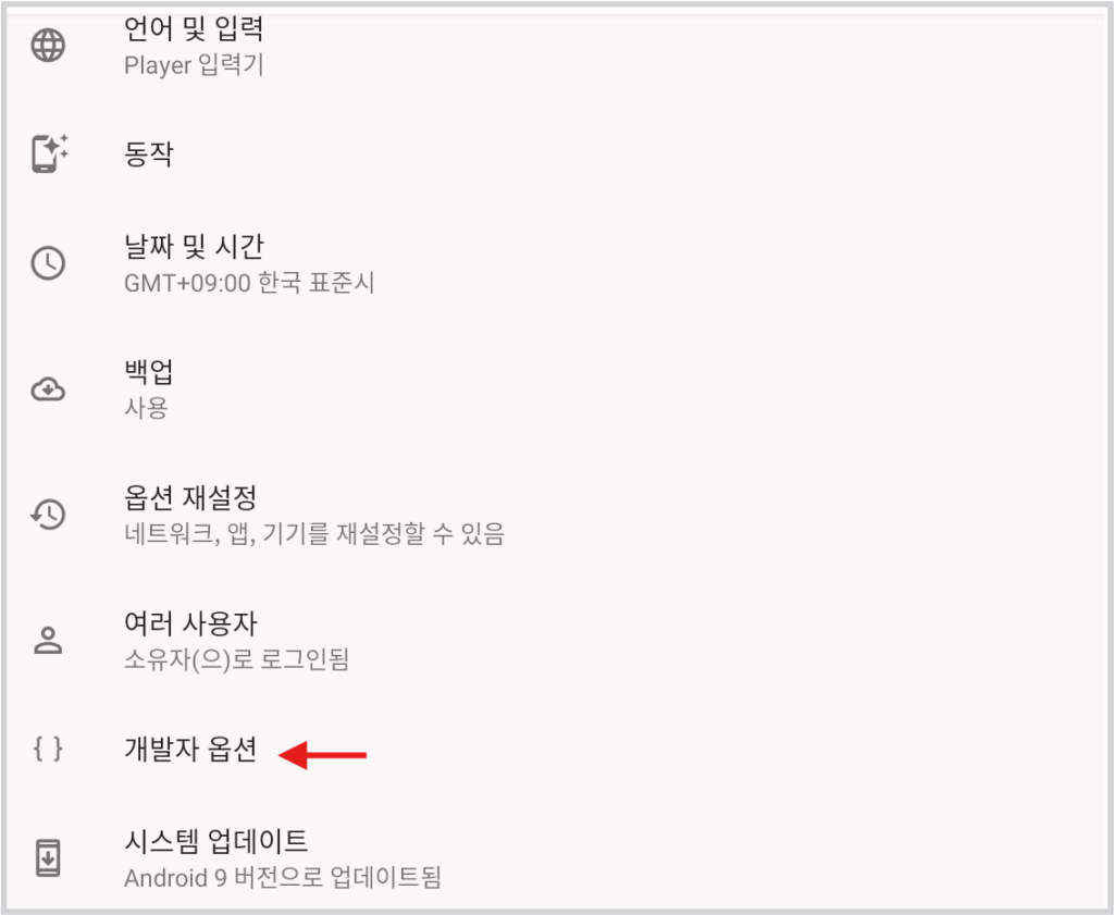 LD 플레이어 VT 활성화 및 최적화 방법 총정리 . 시스템 → 고급 → 개발자 옵션으로 들어갑니다.